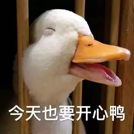 全是鸭鸭表情包,每天都要元气满满鸭.