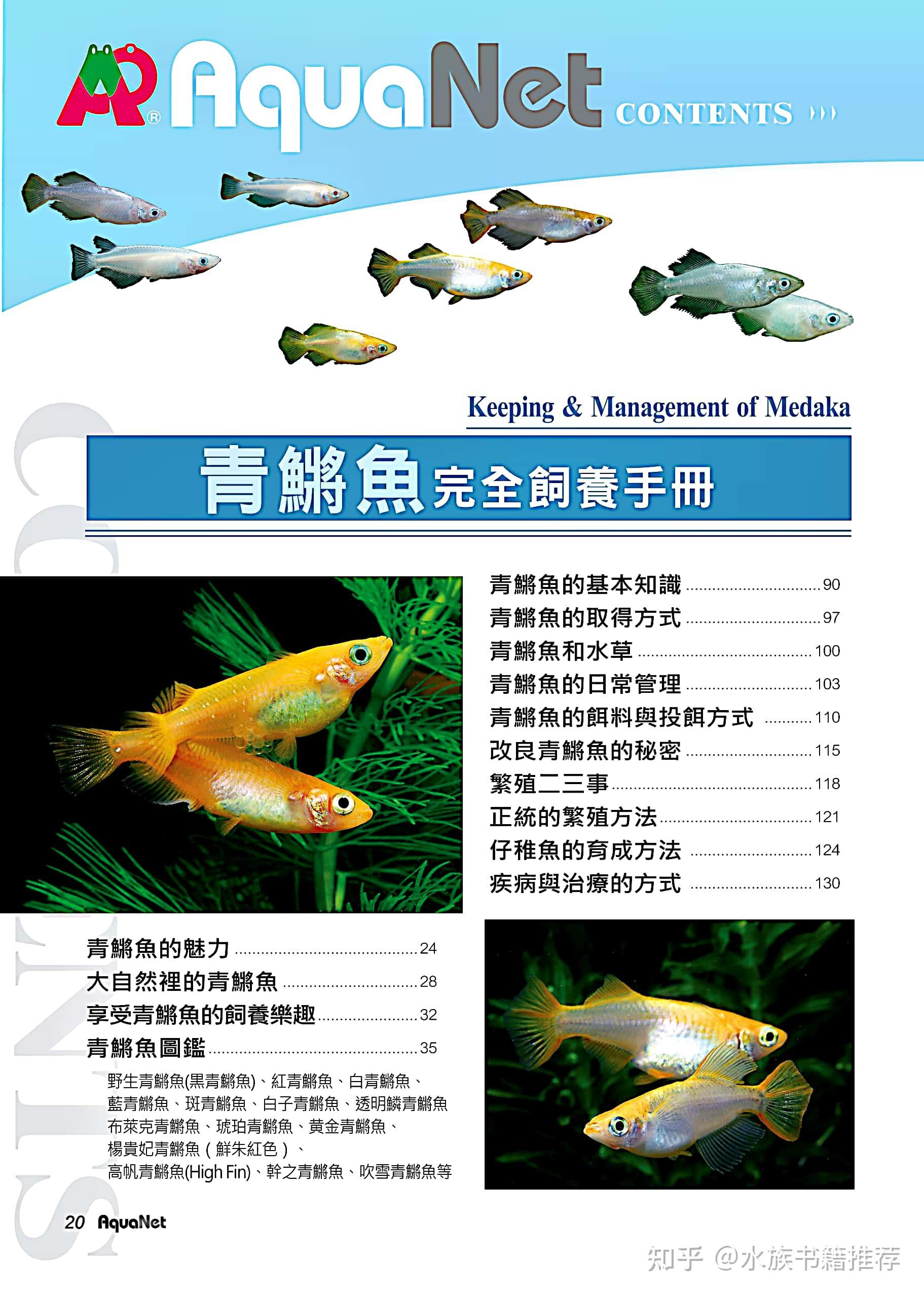 水族书籍推荐之青鳉鱼完全饲养手册