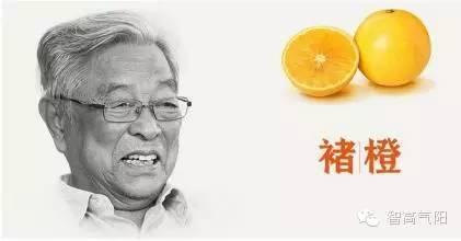 褚橙还需要做广告么?