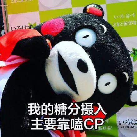 表情包嗑cp人系列