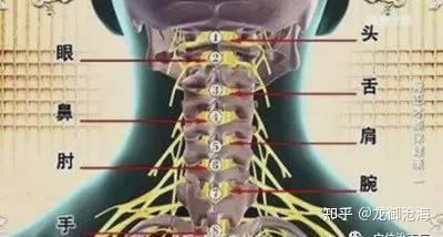 4,出现类似颈椎病症状的头晕以及手臂放射性手麻.