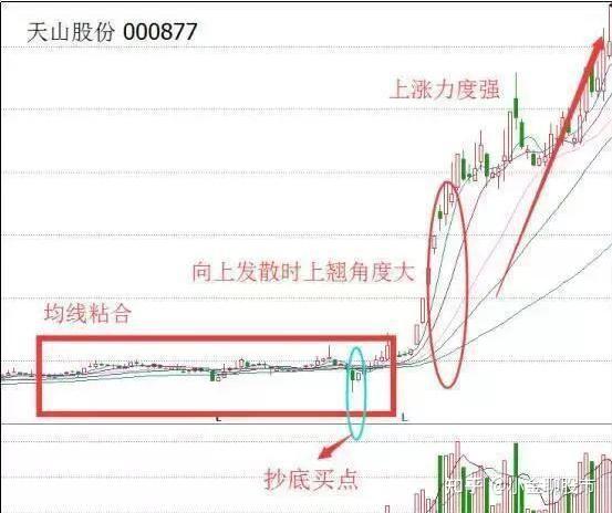 案例:天山股份(000977)