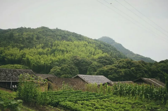 i宁德桃花溪你才不是一个没有故事的村落