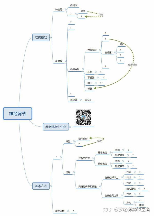 神经调节体液调节植物激素调节思维导图
