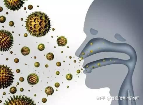 邹道旺医生如何区分上呼吸道和下呼吸道感染