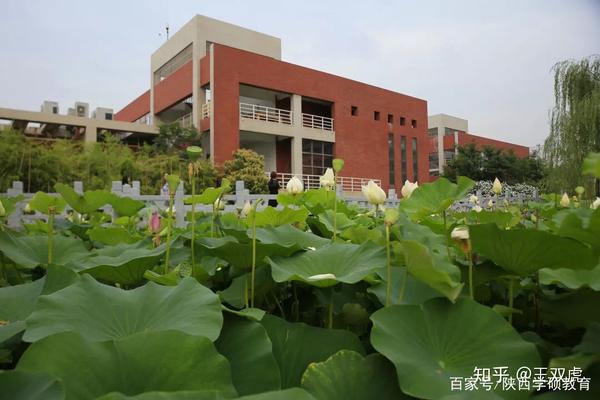 陕西科技大学"视觉传达设计"考研试题-"设计学""艺术设计"