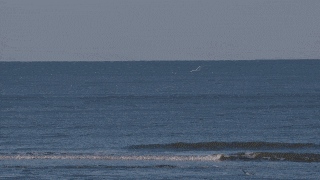 馆内的螺旋楼梯 引领人们拾级而上 来到屋顶观海平台 海浪,沙滩,贝壳