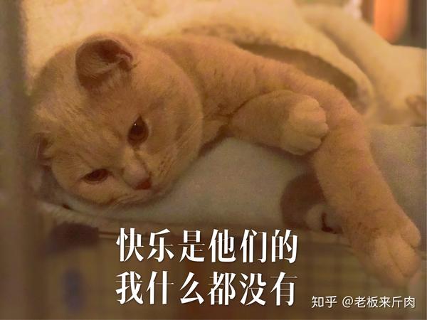 之前有一次,半夜两点了他完全没有睡意但我已经困成傻逼,只能把他放