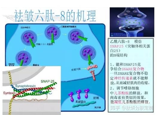 乙酰基六肽-8||阿基瑞林