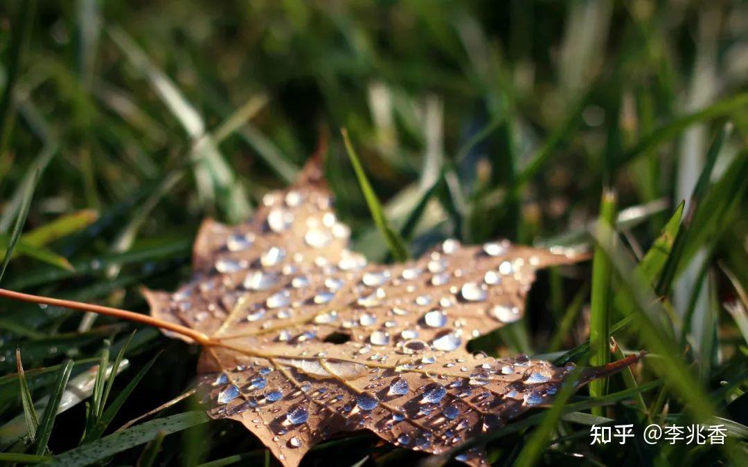 秋雨绵绵的唯美文案,适合秋天下雨发朋友圈的句子