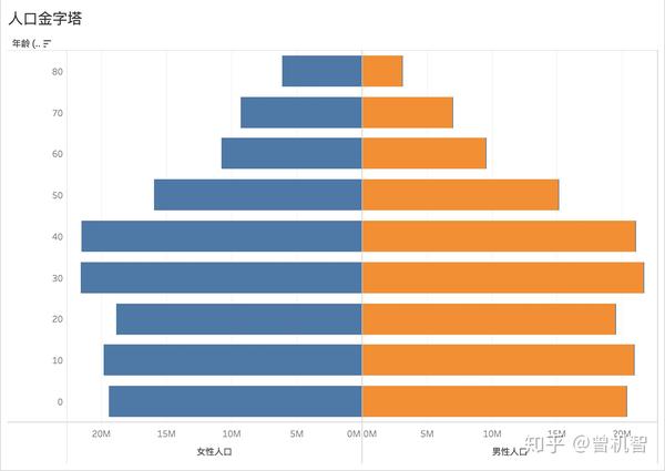 这样,我们的人口金字塔图形就完成了,从图表中可以看到80岁以上的女性