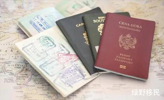 为什么2020年更多人选择办理第二本护照
