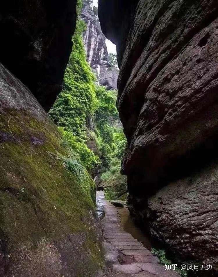 三坑两涧,武夷岩茶友们心目中圣地所在,独特的山场气息令人回味无穷