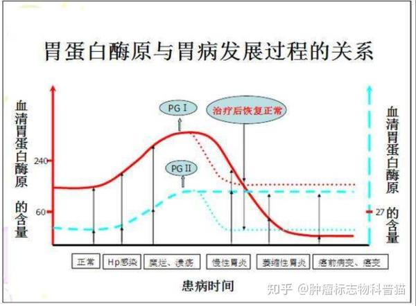 肿瘤标志物科普系列-pgi/pgii(胃蛋白酶原i ii)