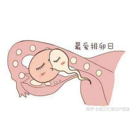 但是要想知道同房后受孕所需的时间,先要了解怀孕原理及受孕过程,下面