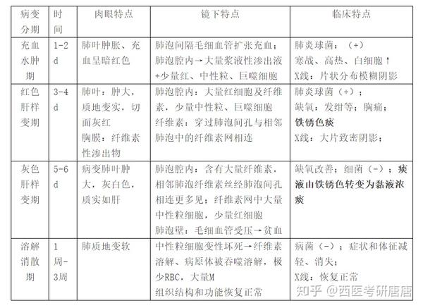 考点:肺癌大体类型分型