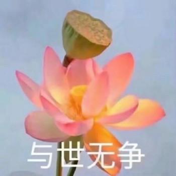 沙雕莲花表情包