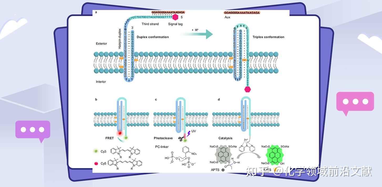 Nat Commun Dna