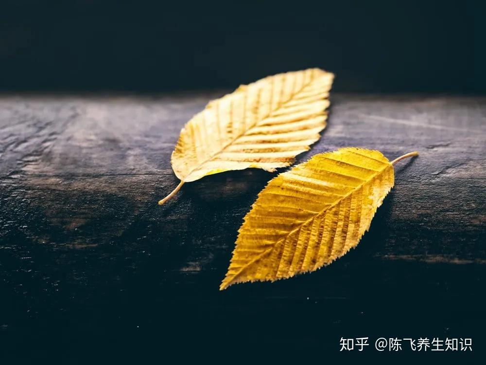 打通三焦最好用的方子清上焦通中焦利下焦三焦一通诸症自消