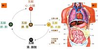 上焦火,下焦寒,根本原因在于中焦不通!