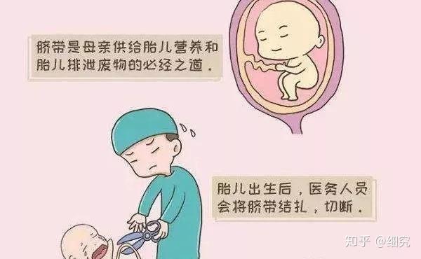 新生儿脐带怎么护理?