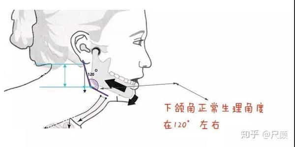 一般来说,正常的下颌角角度在120度左右.这是大部分人的下颌角度数.