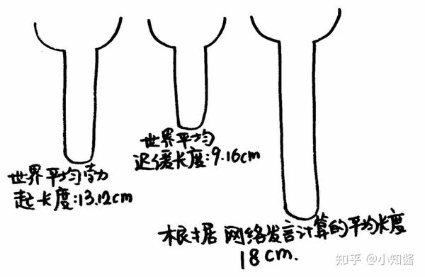 男性正常的长度,应该是多少?