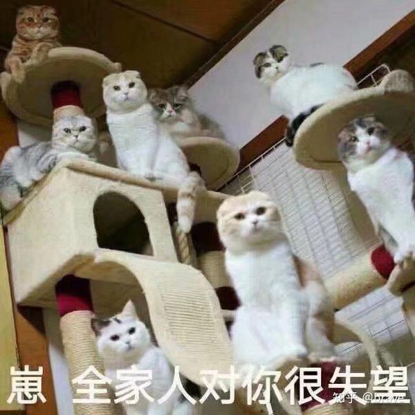 童年猫和老鼠 圆溜溜的小肚子,啧啧啧(▽`)可爱