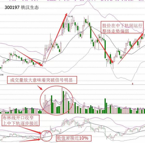 案例:铁汉生态(300197)