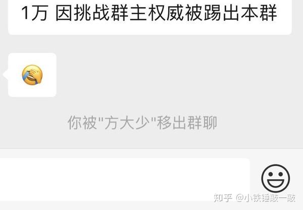 我有幸在这位大v的掩护下进入了群聊,很快便被群主发觉异常移出了群