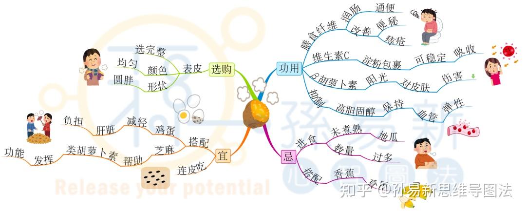 赶快来透过今天的思维导图来更加认识地瓜吧!你知道地瓜有哪些好处吗?