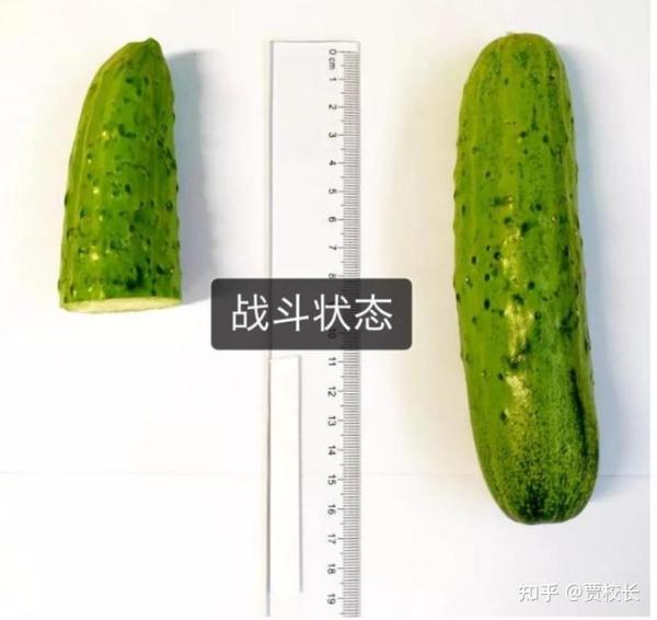 男人的丁丁多大才算正常?