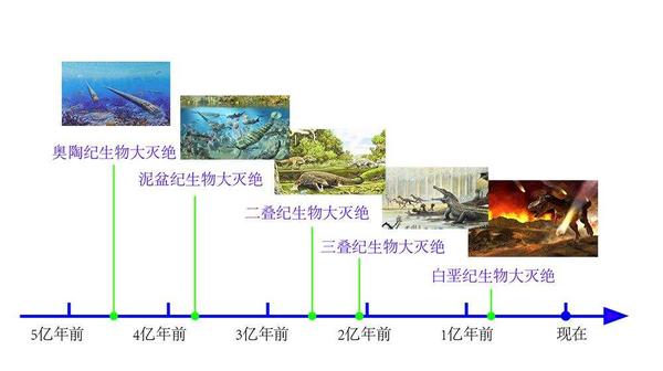 历史上几次灭绝事件里找办法