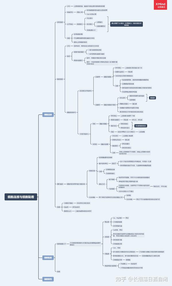 细胞生物学思维导图