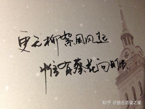 20句心灵鸡汤经典语录短句,每一句都很励志!