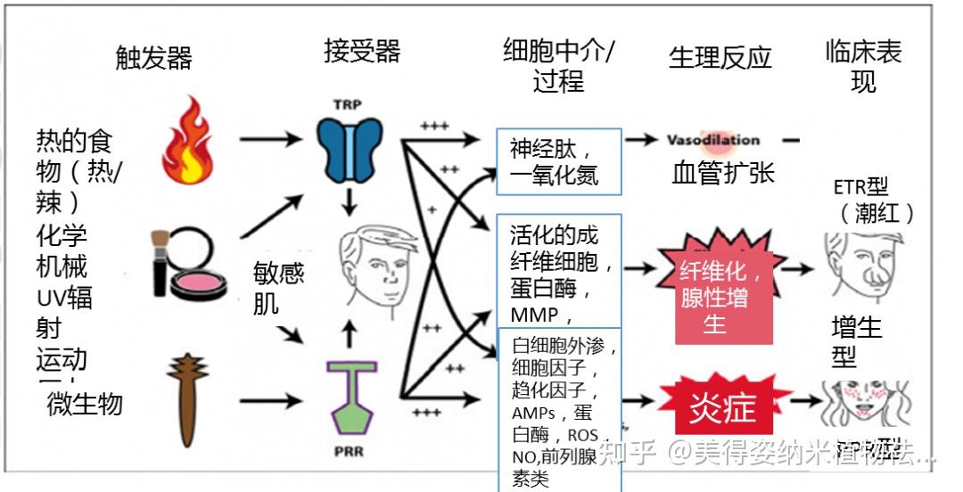 护肤以后为什么用手摸着鼻翼两侧会有刺痛感