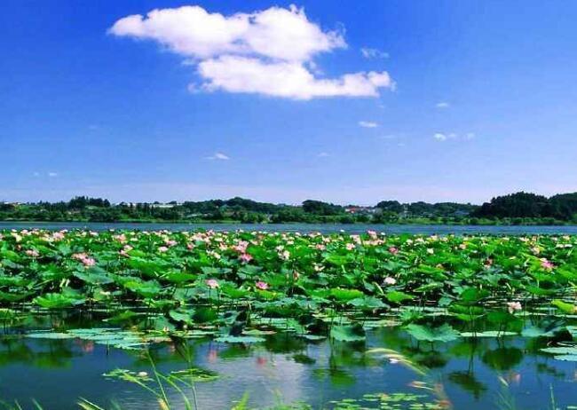 保定景点排行榜白洋淀小兵张嘎的取景地