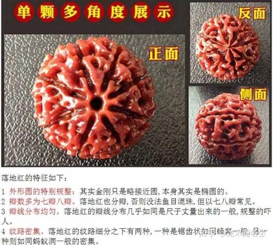 一学就会简单五招教你挑选金刚菩提