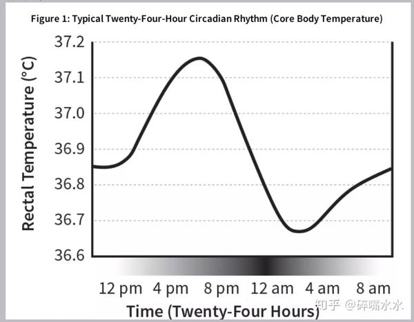 人体24小时体温周期变化