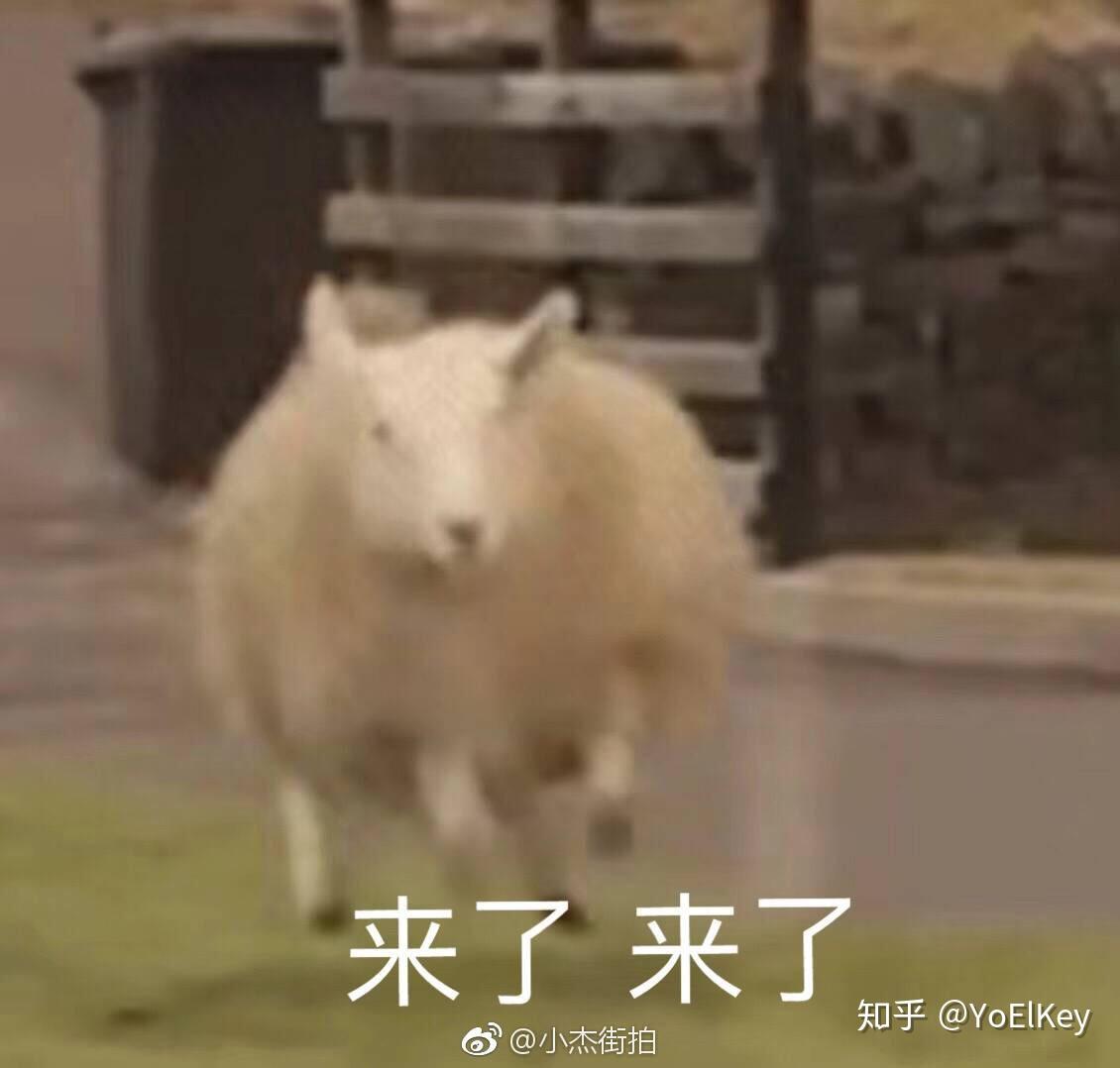 有天气经久不衰的图片和动图分享一热度动态包a天气表情表情图片