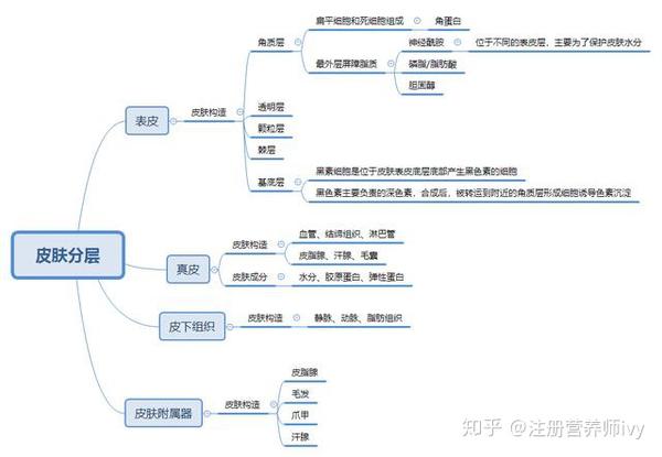 下面我做了一张思维导图,方便大家记忆