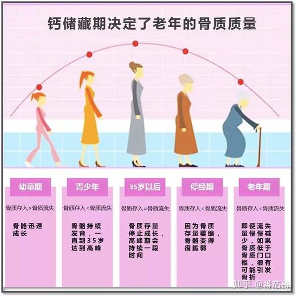 所以我们需要大量地从食物中摄取钙元素,保持血液中有足够的钙元素