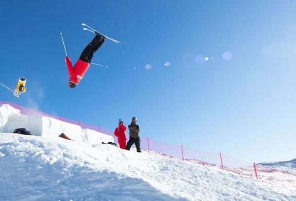 火爆什么是冬奥会里自由式滑雪障碍追逐