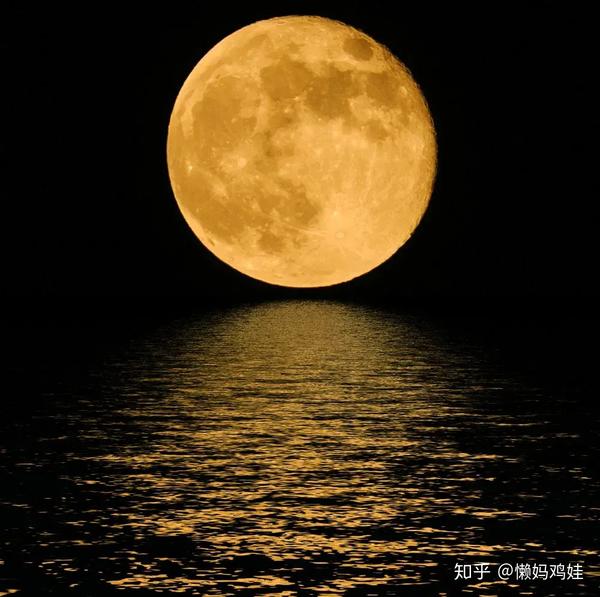 每周一诗一百周(18):《中秋月》
