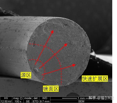 室温橡胶拉伸断口(全貌)