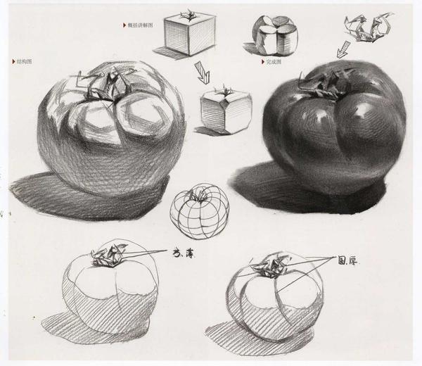 水果静物素描之西红柿画法及步骤讲解