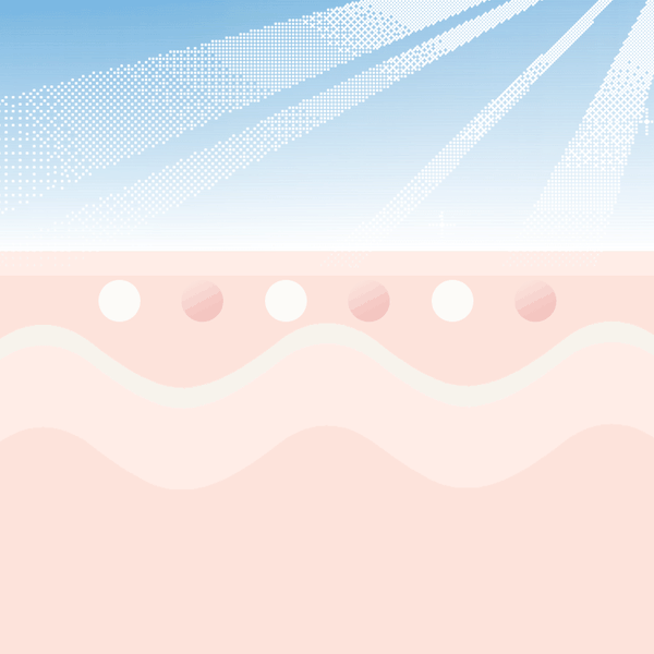 后天皮肤颜色加深主要是来自于紫外线刺激导致色素母细胞产生的黑色素