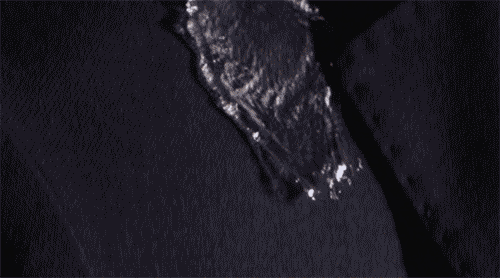 纳米防水技术,水珠自然滚落