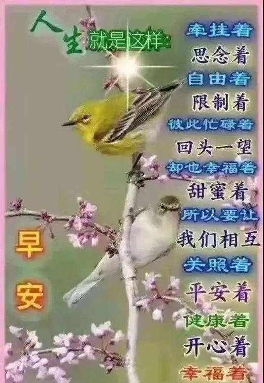 8月8日微信群发早安祝福语简短短信 最新最火八月早安