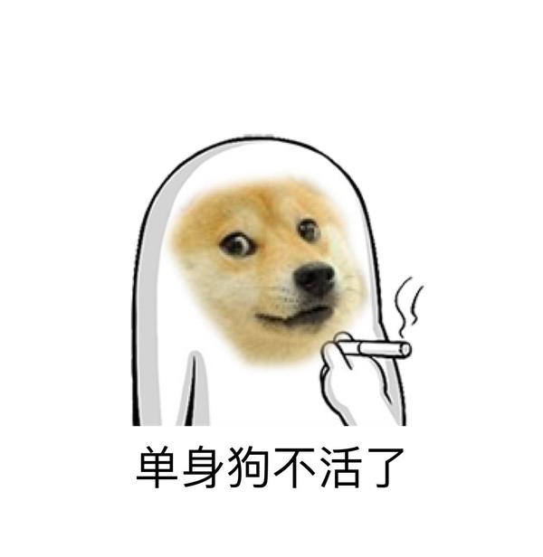 14情人节.单身狗无疑了.